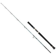 Daiwa Grandwave 168cm 100-300gr Olta Kamışı