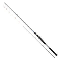 Daiwa Emeraldas Boat 1.98m 40-100gr 2P Kamış