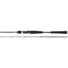 Daiwa Emeraldas Boat 1.98m 40-100gr 2P Kamış