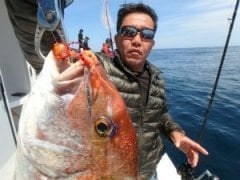 Flash J Shirasu 3'' Tairubber Silikon Yem
